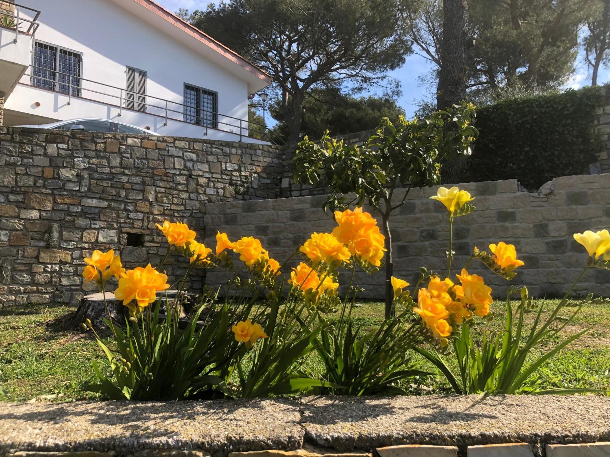 Bed & Breakfast Il Lampin *