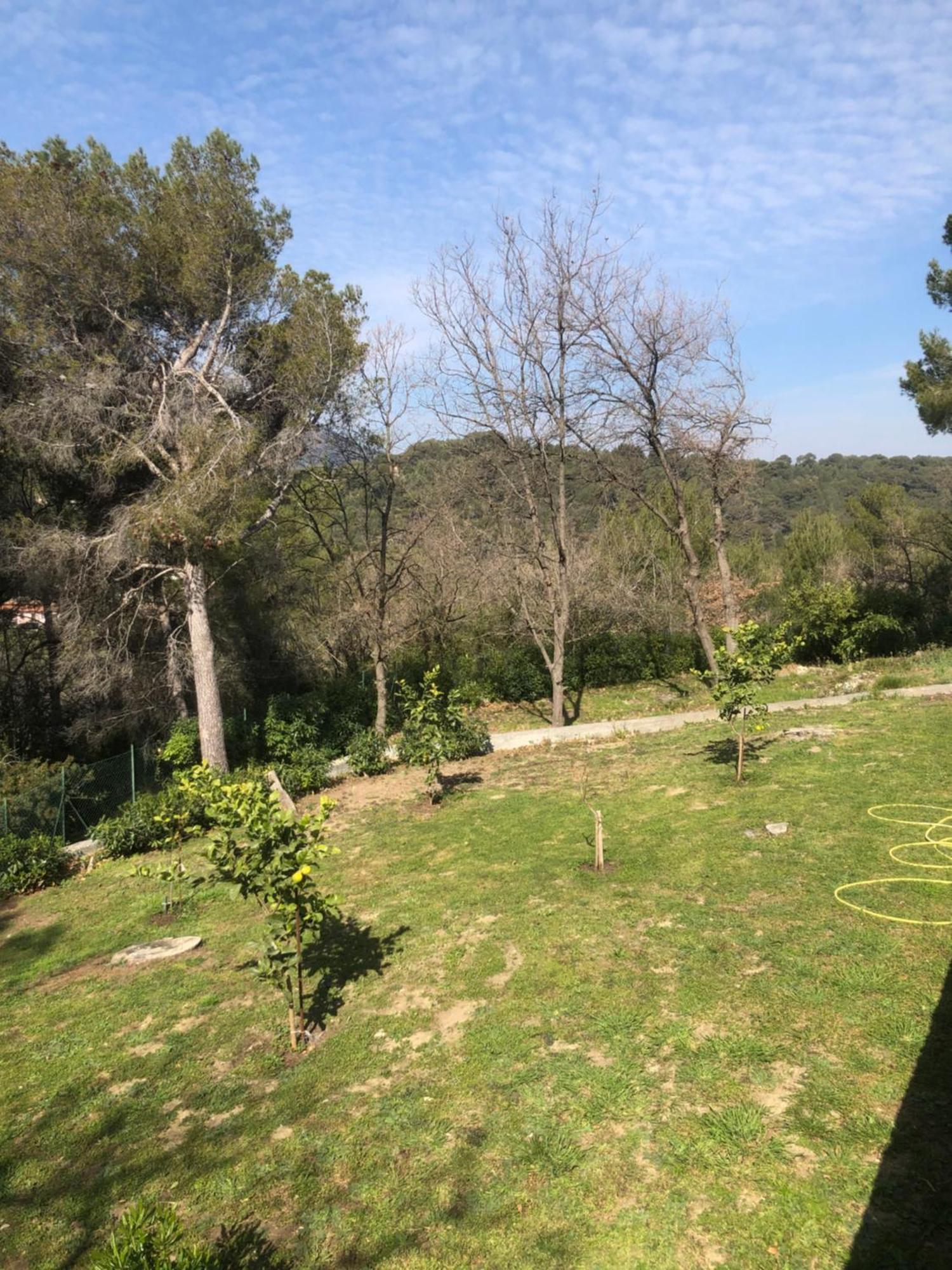 Il Lampin Bed & Breakfast Andora